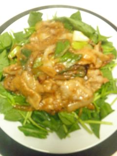 豚ばら肉とねぎの味噌炒め!-レシピのメイン写真