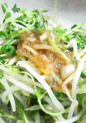 もやしと豆苗玉ねぎソースナムル-レシピのメイン写真