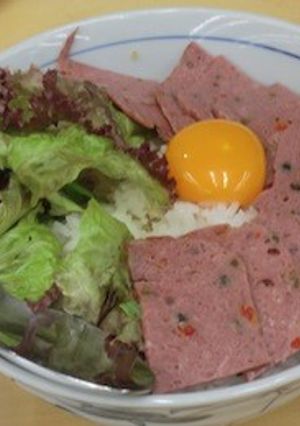 簡単フライシュケーゼのネギ玉丼-レシピのメイン写真