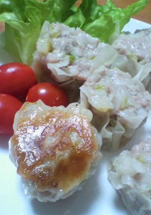 ジューシー長ネギの焼シュウマイ-レシピのメイン写真