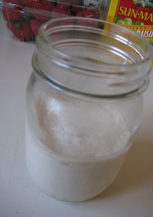 Sourdough Starter-レシピのメイン写真
