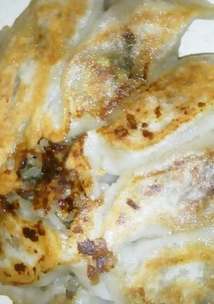 ヘルシーきのこ紫蘇餃子-レシピのメイン写真