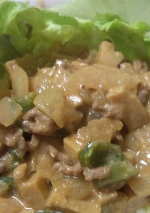 ヘルシー高野豆腐のカレー-レシピのメイン写真
