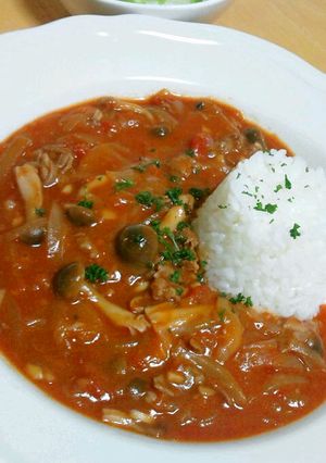トマト缶でビストロ♪絶品ハッシュドビーフ-レシピのメイン写真