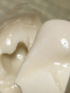 酒粕のペースト-レシピのメイン写真