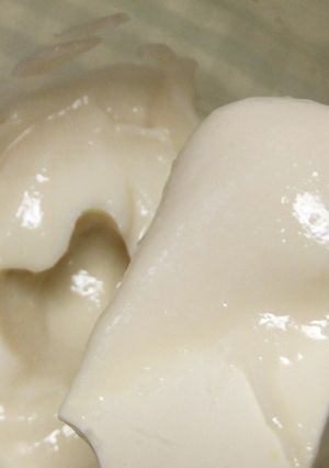 酒粕のペースト-レシピのメイン写真