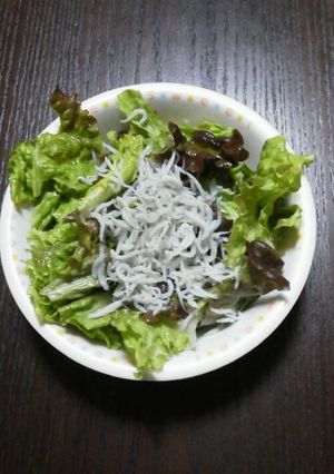 超あっさりヘルシーじゃこの超簡単サラダ♪-レシピのメイン写真