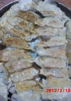 もやしの焼き餃子-レシピのメイン写真