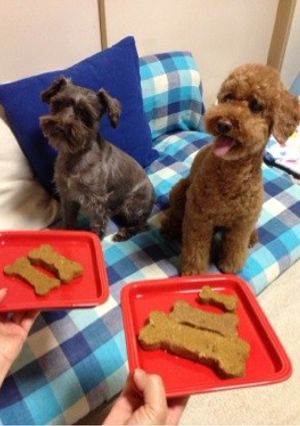 ワンコの特別な日のベイクドフード-レシピのメイン写真