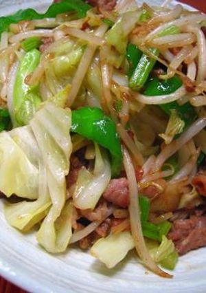 あたしんちの♪肉野菜炒め-レシピのメイン写真