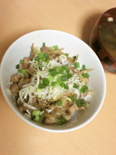 鶏ごぼう丼-レシピのメイン写真