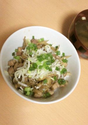 鶏ごぼう丼-レシピのメイン写真