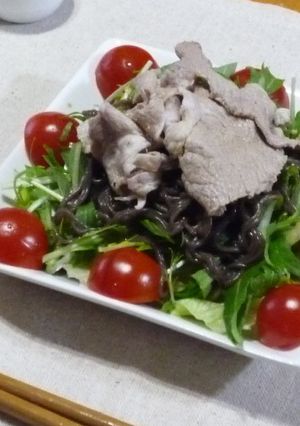 【健康サラダ】ひじきの麺の豚しゃぶサラダ-レシピのメイン写真