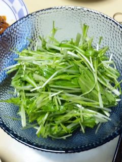 簡単★水菜サラダ-レシピのメイン写真