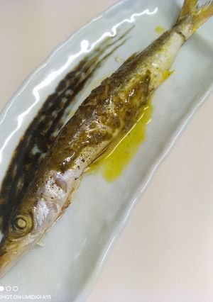 カマスのトースター焼き！バジルソース-レシピのメイン写真