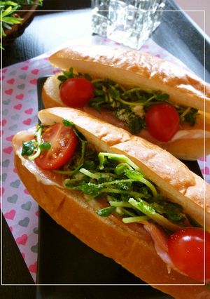 ハムと豆苗の塩麹風味ロールサンド-レシピのメイン写真
