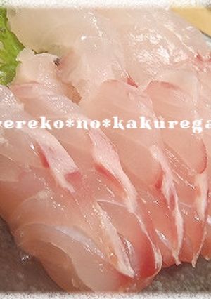 色んな魚で★塩麹締めのお刺身★(基本)-レシピのメイン写真