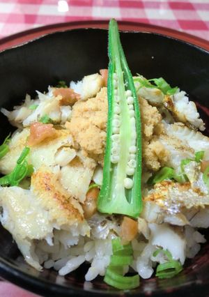 キュウリウオ飯-レシピのメイン写真