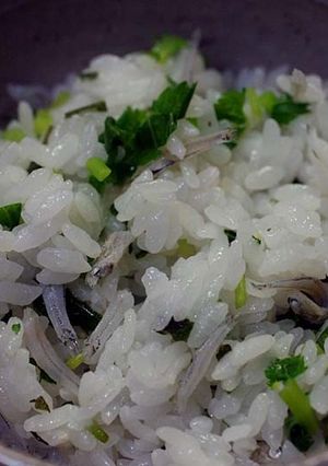菜飯-レシピのメイン写真