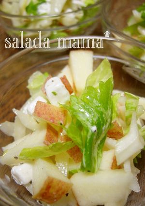 林檎とセロリのサラダ-レシピのメイン写真