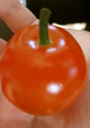 ミニトマトがりんごに変身！-レシピのメイン写真
