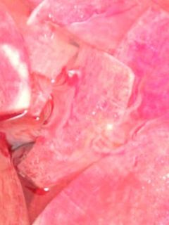 ☆無着色大根の漬け物☆-レシピのメイン写真