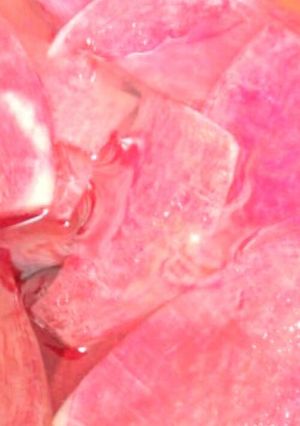 ☆無着色大根の漬け物☆-レシピのメイン写真