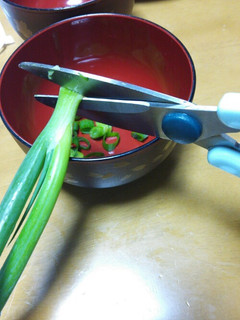 洗い物1つのきざみネギ。-レシピのメイン写真