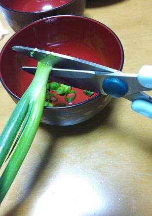 洗い物１つのきざみネギ。-レシピのメイン写真