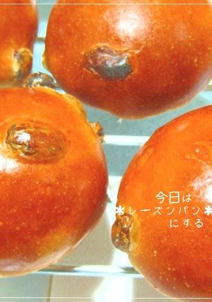 今日は＊レーズンパン＊にする-レシピのメイン写真