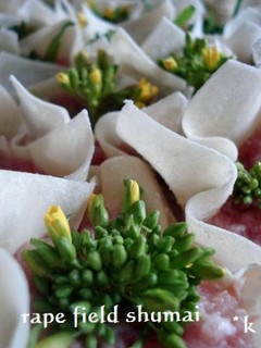 菜の花畑のシュウマイ-レシピのメイン写真