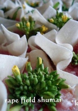 菜の花畑のシュウマイ-レシピのメイン写真