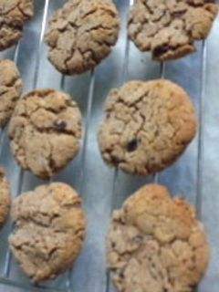 ダイエット!?おからクッキー♪-レシピのメイン写真