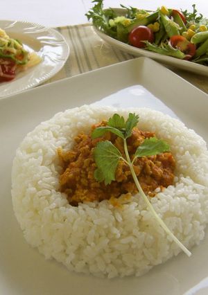 豆腐ドライカレー-レシピのメイン写真