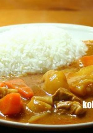 減塩 【酸味がさわやかカレーライス】-レシピのメイン写真