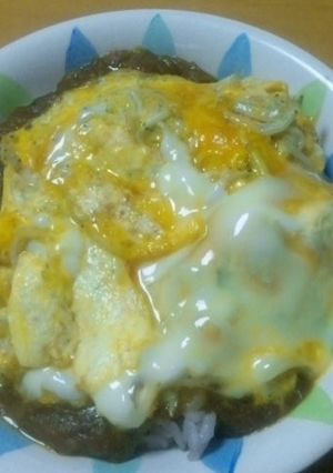 残ったカレーでカレー丼!-レシピのメイン写真