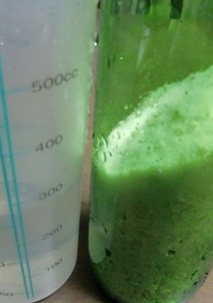 ひろくち瓶で、３回目の塩麹作りました。-レシピのメイン写真