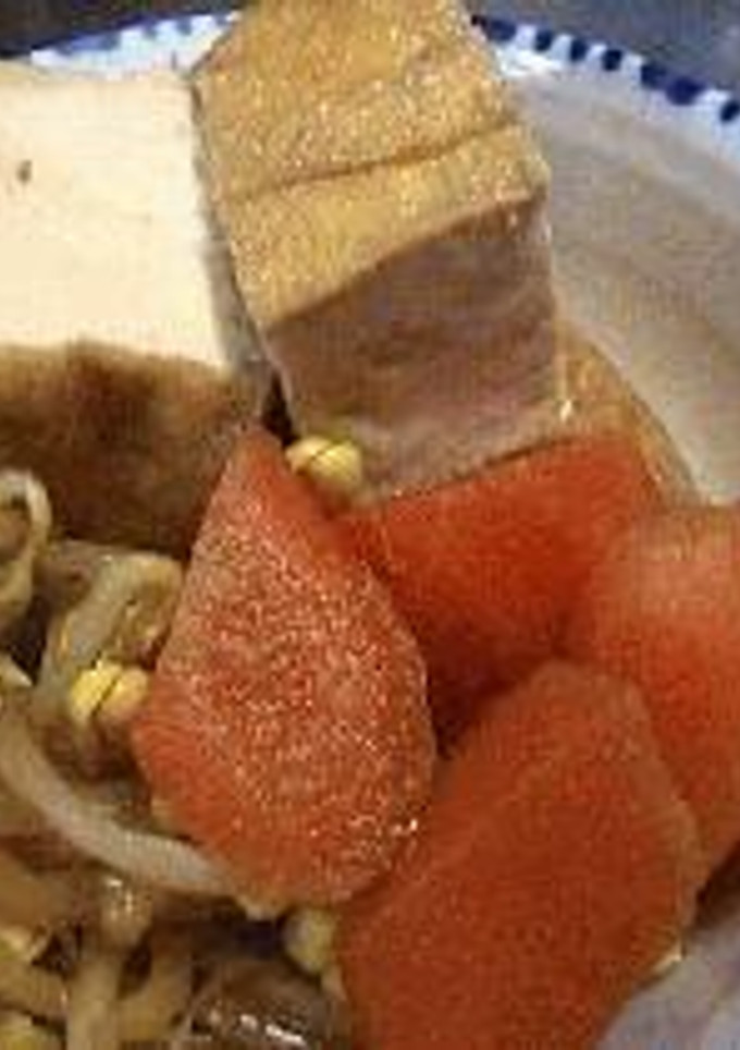 厚揚げと大豆もやしの煮物-レシピのメイン写真