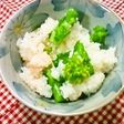 春の贅沢✿菜の花&タラコご飯