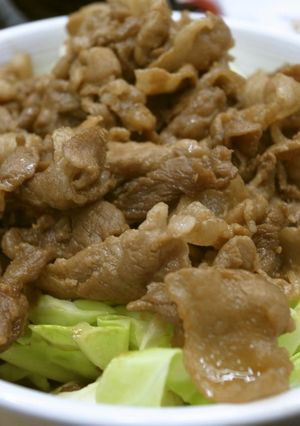 豆腐とキャベツのヘルシー風豚丼-レシピのメイン写真