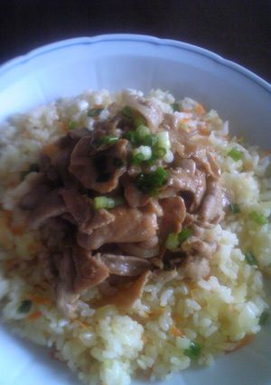 焼肉のっけチャーハン-レシピのメイン写真