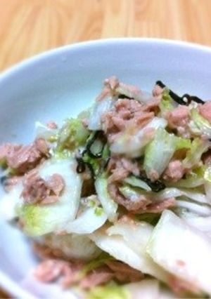 簡単あえるだけ！白菜サラダ-レシピのメイン写真