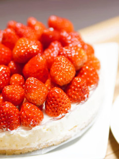 レアチーズケーキ 【生クリームなし】-レシピのメイン写真