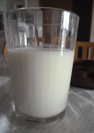 自家製豆乳-レシピのメイン写真