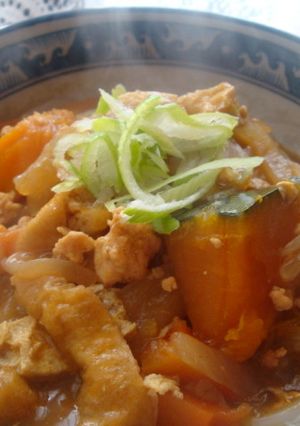 ＊魔法の調味料でカレーうどん＊-レシピのメイン写真