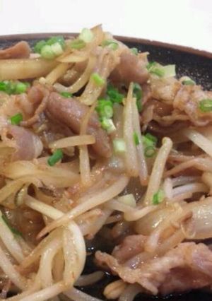 おかずにぴったり！肉炒め★-レシピのメイン写真