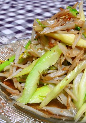 ｾﾛﾘとごぼうの塩きんぴら-レシピのメイン写真