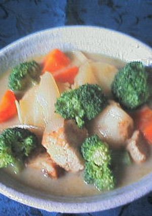 鶏肉のカレ－ス－プ煮-レシピのメイン写真