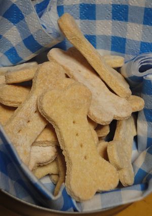 わんこ用おからビスケット-レシピのメイン写真