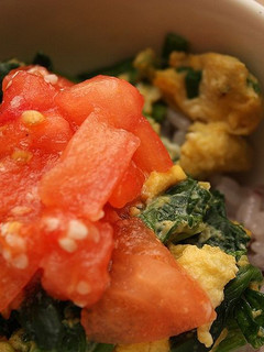 塩麹でヘルシー丼。-レシピのメイン写真